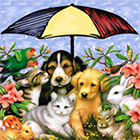 National Healthy Mothers, Healthy Babies Coalition