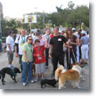 2009 Walk for the Animals