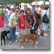 2009 Walk for the Animals