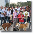 2009 Walk for the Animals